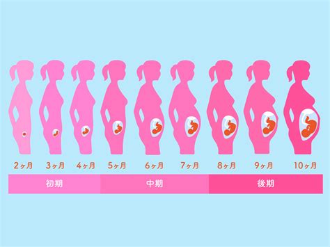 妊娠初期 ムラムラする|妊娠中に性欲が変化するのはなぜ？ムラムラする・。